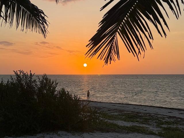 Renta de Casa Frente al Mar en San Benito, Yucatán