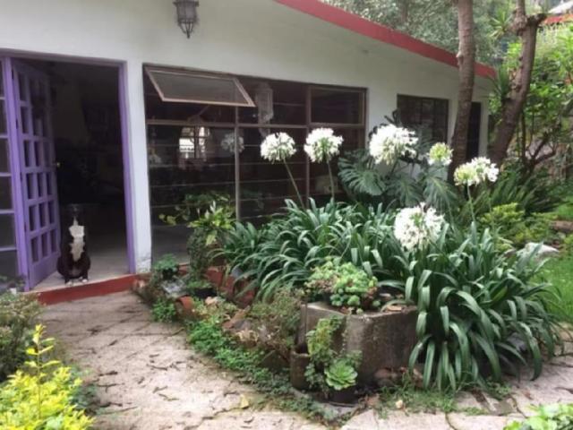 RENTA DE CASA SOLA