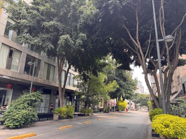 RENTA DE DEPARTAMENTO EN PUERTA ALAMEDA, CENTRO