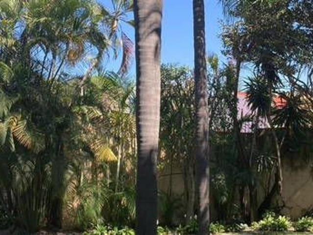 Renta de departamento, Jardines de Reforma Cuernavaca, Morelos…Clave 6340