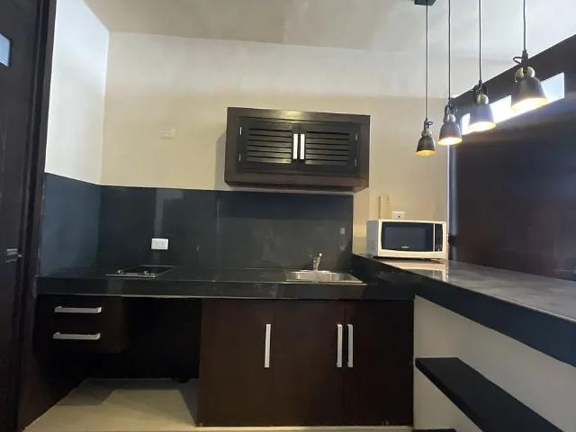 Renta de Departamento sodzil Norte
