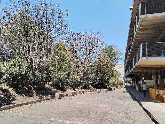 Renta de Instalaciones para Escuela, Tec?mac, Estado de M?xico