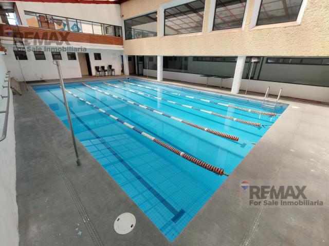 Renta de Local ideal para Acu?tica en Vista Hermosa, Cuernavaca, Morelos?Clave 6131