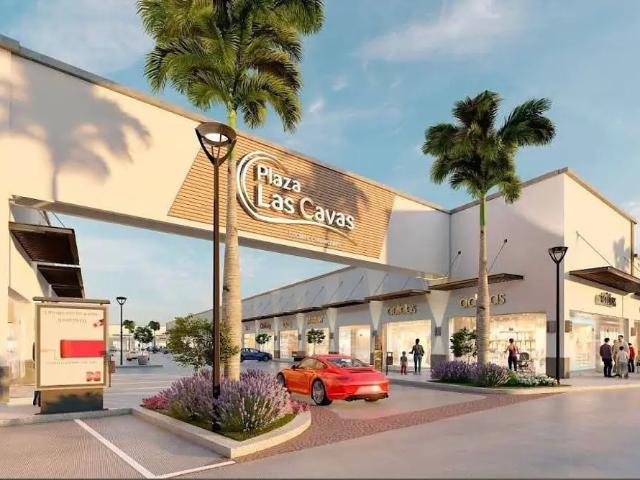 Renta de locales en Plaza Las Cavas