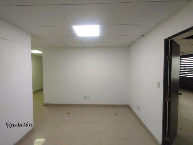 Renta de Pisos Completos en edificio comercial con Amplio Metraje