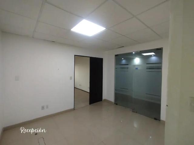 Renta de Pisos Completos en edificio comercial con Amplio Metraje