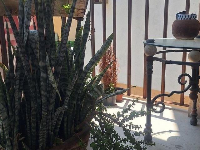 Renta Departamento Amueblado Tec de Monterrey Querétaro