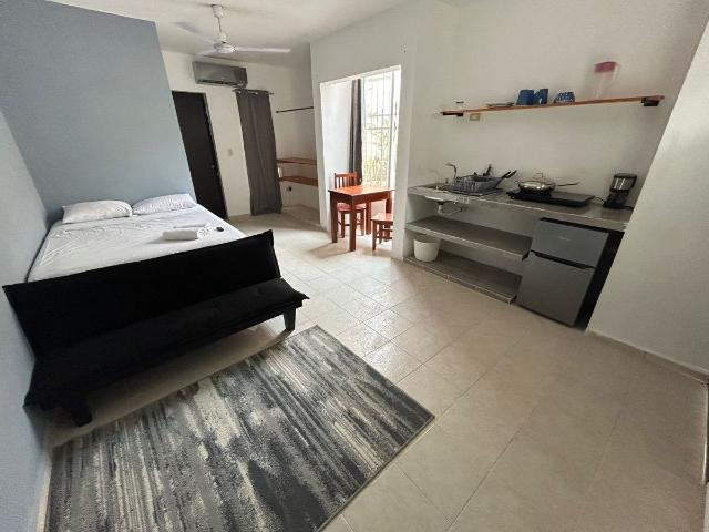 Renta departamento amueblado