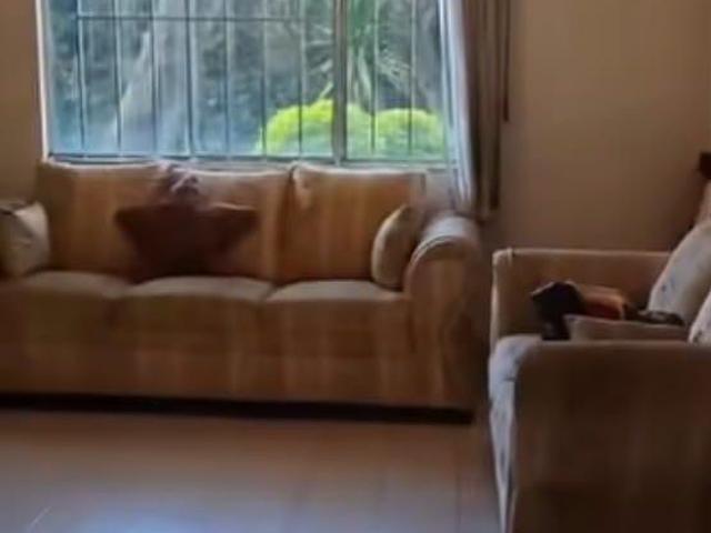 RENTA DEPARTAMENTO EN LA JOYA TLALPAN