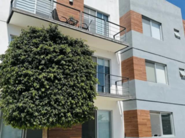 RENTA DEPARTAMENTO EN MIRASIERRA EN PB