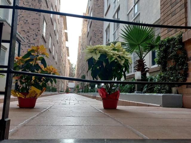 Renta departamento en Privadas San Isidro Azcapotzalco
