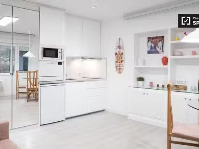 Nuevo Estudio en alquiler en Madrid Centro