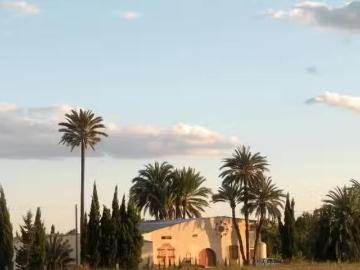 Baix Vinalopó, Algemesí, Valencia, Comunidad Valenciana, Comunidad Valenciana