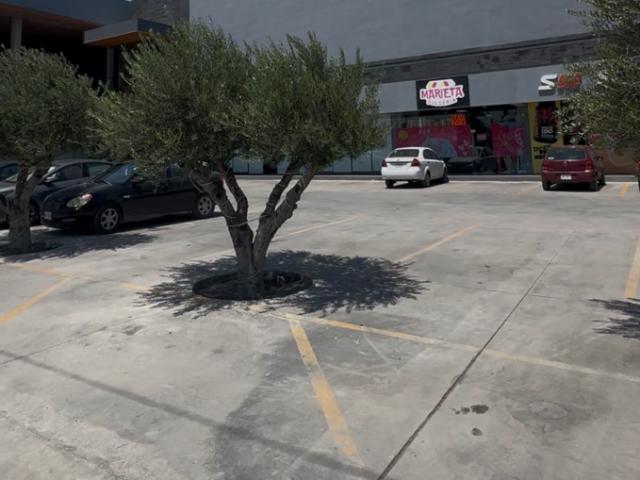 RENTA LOCAL EN APODACA CENTRO