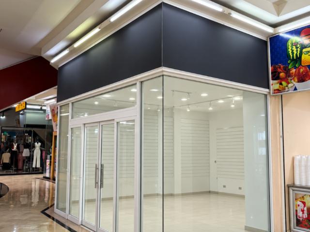 RENTA LOCAL EN PLAZA PATRIA