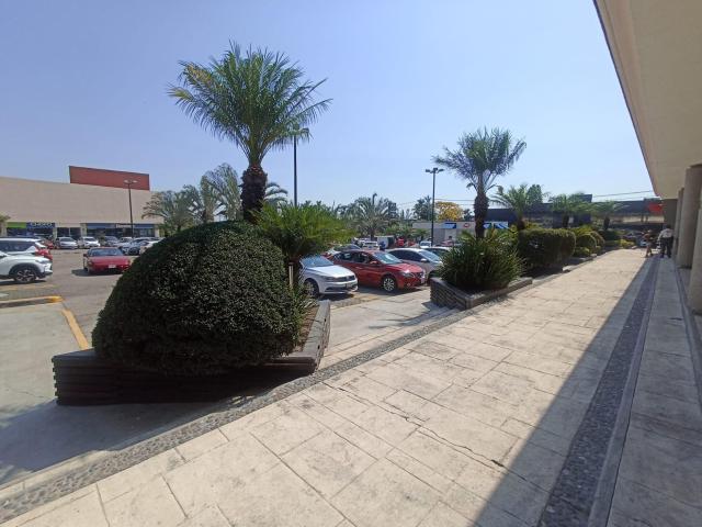 Renta Local Premium en Vista Hermosa