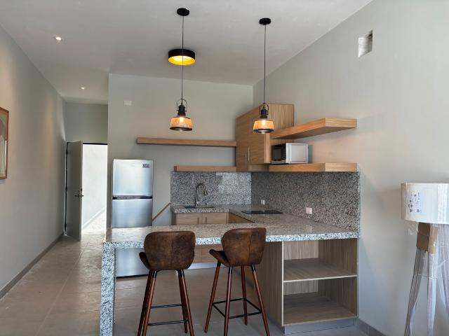 Renta loft amueblado en Ramos Arizpe