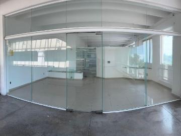 RENTA OFICINA PLAZA EN CANCUN