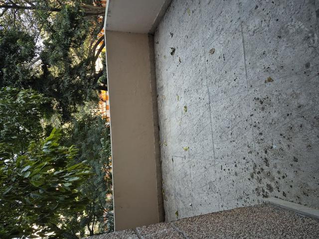 Rental | 3.5 BHK + Pooja Room,Study Room 1450 Sq.Ft. Apartment in Mayur Vihar