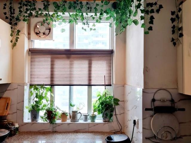 Rental | 3.5 BHK + Servant Room 1850 Sq.Ft. Apartment in JMD Gardens