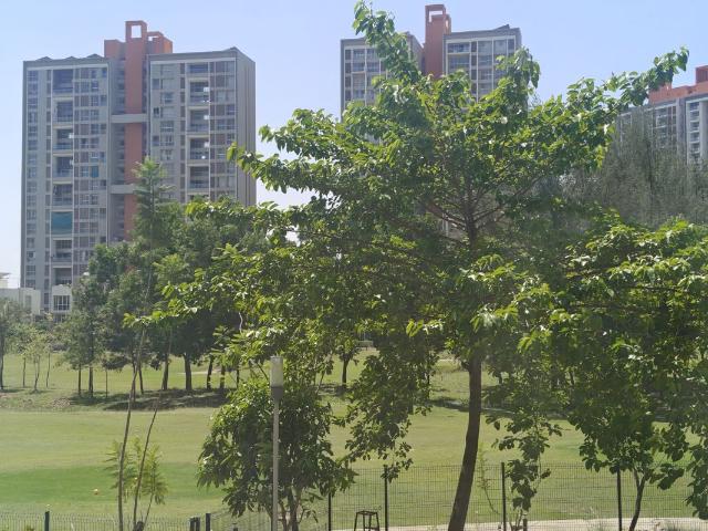 Rental | 3.5 BHK + Servant Room 1800 Sq.Ft. Apartment in Lodha Belmondo