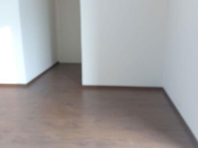 Rental | 3.5 BHK + Servant Room 2700 Sq.Ft. Apartment in Ireo Victory Valley