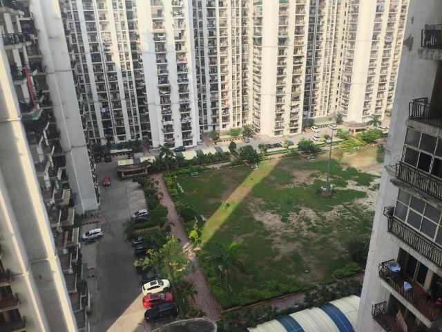 Rental | 3.5 BHK + Study Room 1550 Sq.Ft. Apartment in Aims Golf City
