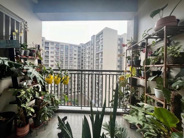 Rental | 3 BHK + 1572 Sq.Ft. Apartment in Goyal Orchid Piccadilly