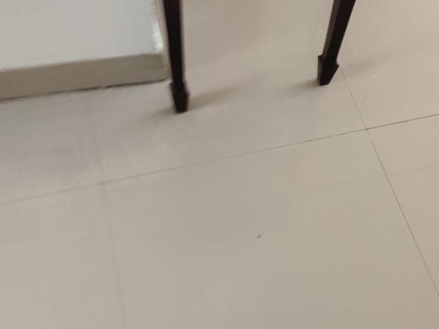 Rental | 3 BHK + 1575 Sq.Ft. Apartment in Great Value Sharanam