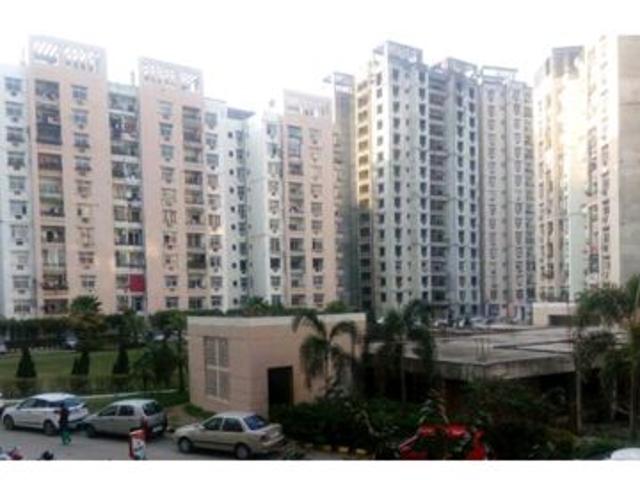Rental | 3 BHK 1660 Sq.Ft. Apartment in Rohtas Plumeria