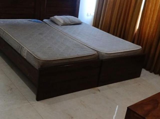 Rental | 3 BHK + 1600 Sq.Ft. Apartment in Parsvnath Residency