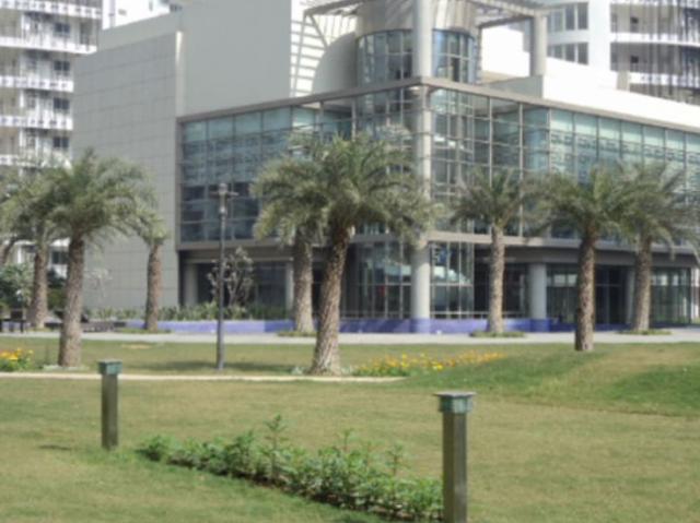 Rental | 3 BHK + 1950 Sq.Ft. Apartment in Emaar MGF The Palm Drive Villas