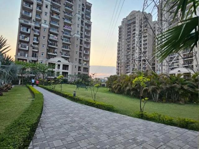 Rental | 3 BHK 1900 Sq.Ft. Apartment in ATS Golf Meadows