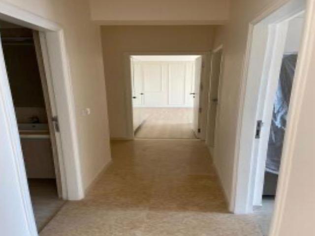 Rental | 3 BHK + 2086 Sq.Ft. Apartment in DLF The Primus