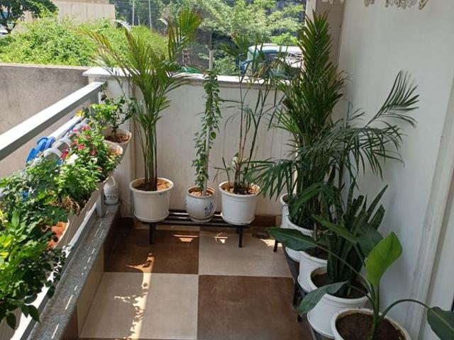 Rental | 3 BHK 215 Sq.Ft. Independent House in Sushant Lok I