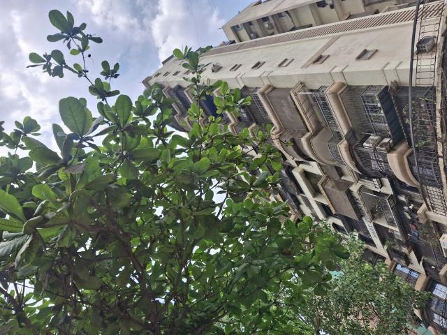 Rental | 3 BHK 2275 Sq.Ft. Apartment in Hari Complex