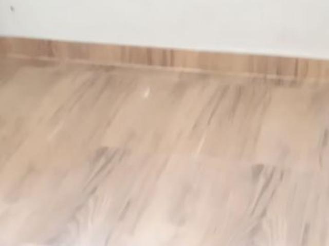 Rental | 3 BHK 250 Sq.Yd. Independent House in TDI The Grand Retreat