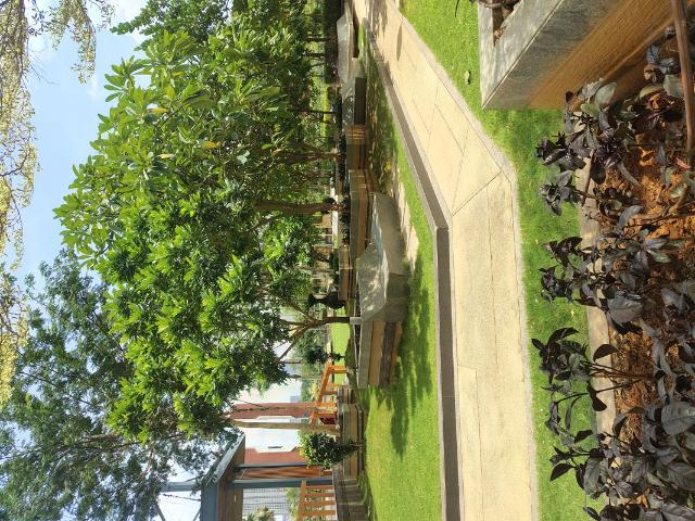 Rental | 3 BHK + 2730 Sq.Ft. Apartment in Trendset Jayabheri Elevate