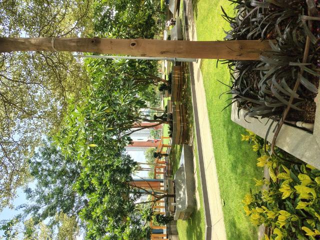 Rental | 3 BHK + 2730 Sq.Ft. Apartment in Trendset Jayabheri Elevate