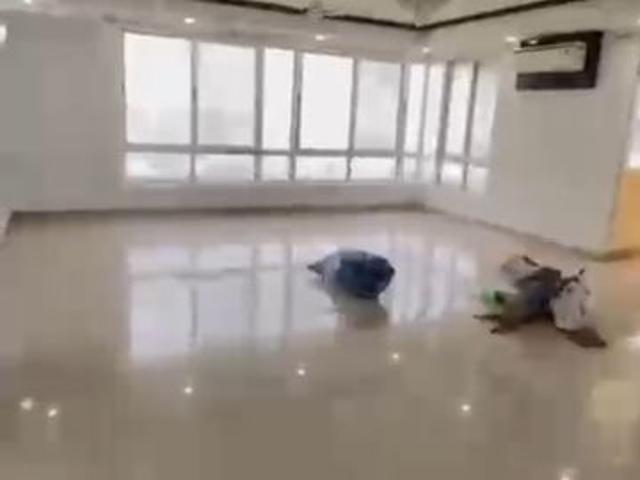 Rental | 3 BHK + 2800 Sq.Ft. Apartment in Jaypee Kalypso Court