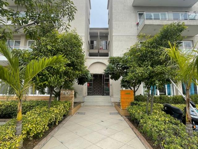 Rental | 3 BHK + Servant Room,Extra Room 2647 Sq.Ft. Apartment in BPTP Amstoria Country Floor