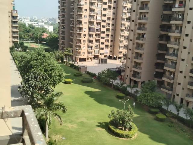 Rental | 3 BHK + Servant Room 2438 Sq.Ft. Apartment in Ardee City Palm Grove Heights