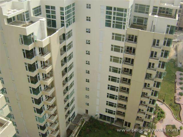 Rental | 3 BHK + Servant Room 2450 Sq.Ft. Apartment in Raheja Atlantis