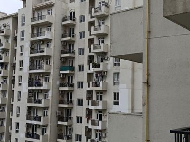 Rental | 3 BHK + Study Room 1235 Sq.Ft. Apartment in Emaar Emerald Estate