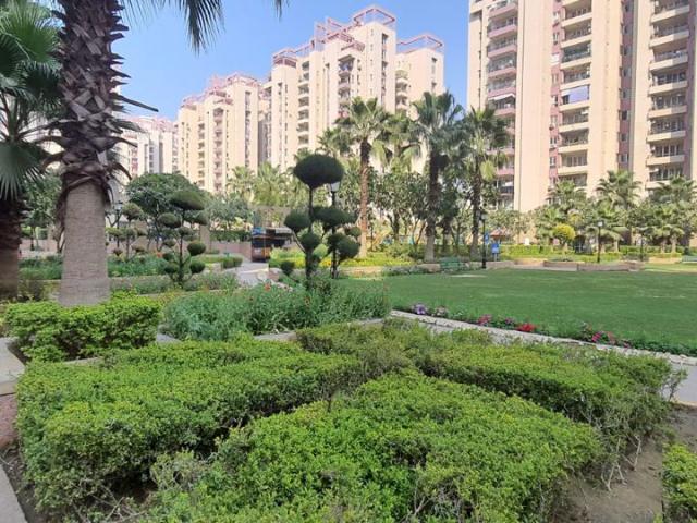 Rental | 3 BHK + Study Room 2061 Sq.Ft. Apartment in Orchid Petals