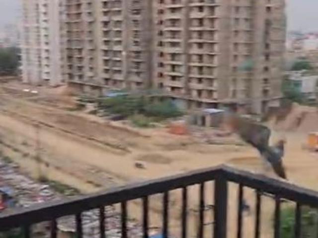 Rental | 3 BHK + Store Room 950 Sq.Ft. Apartment in Gulmohur Garden