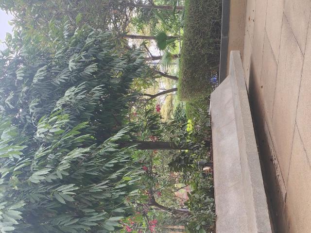 Rental | 3 BHK + Pooja Room 1735 Sq.Ft. Apartment in Prestige Ivy League