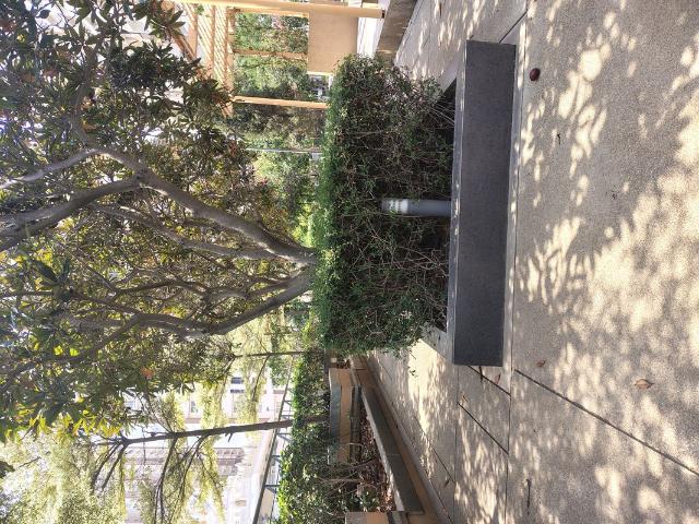 Rental | 3 BHK + Pooja Room 1825 Sq.Ft. Apartment in Trendset Jayabheri Elevate