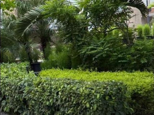 Rental | 3 BHK + Pooja Room 1840 Sq.Ft. Apartment in Charms Castle Phase II