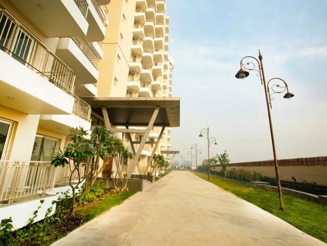 Rental | 3 BHK + Pooja Room 1851 Sq.Ft. Apartment in Sector 80